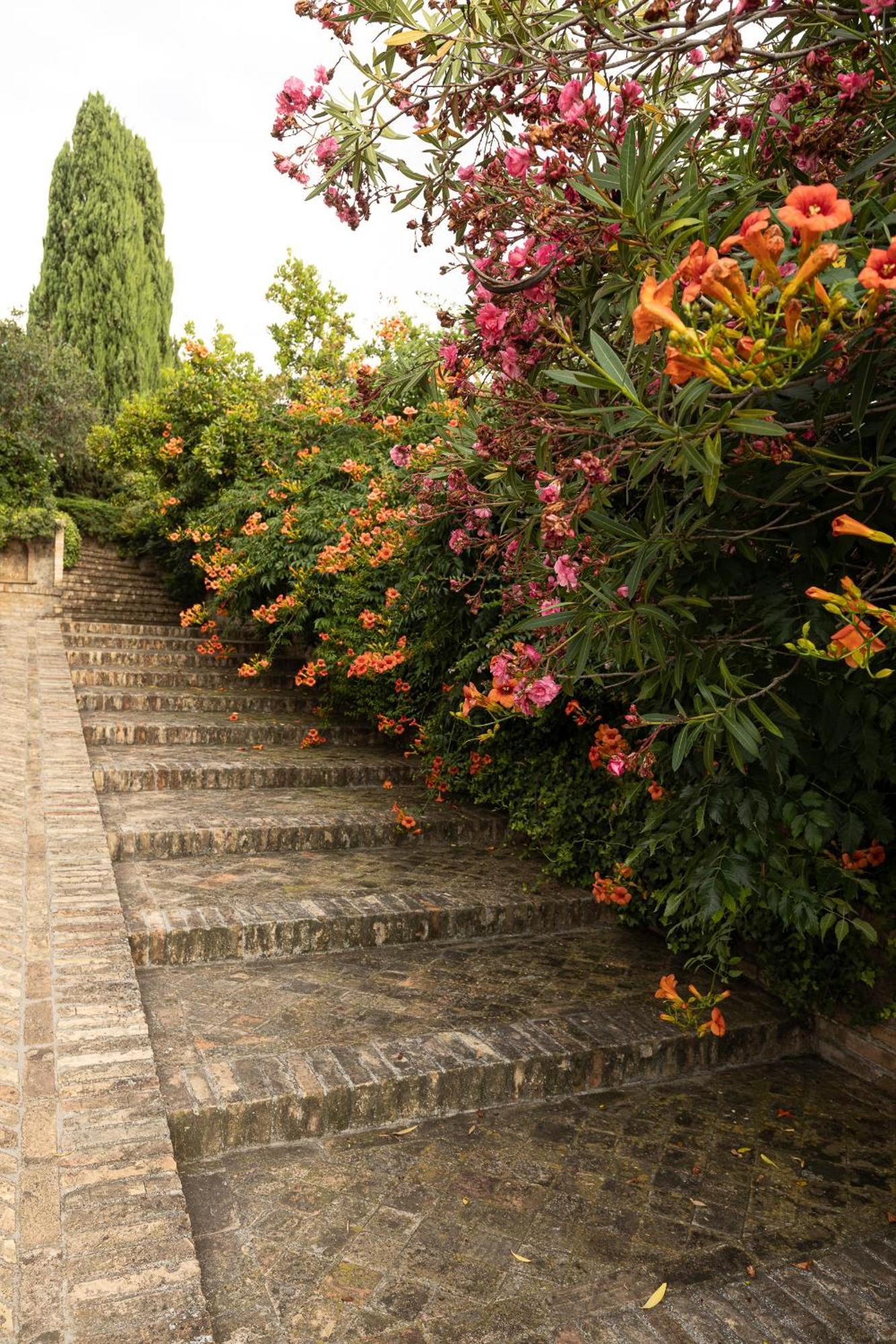 B&B Villa Dei Desideri Chieti Dış mekan fotoğraf